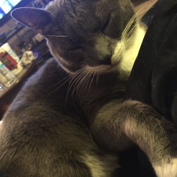 Meet your Posher, Raechael - Picture 1 of 1